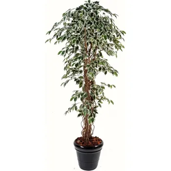 umělá květina Luxusní umělý strom FICUS LIANAS GF green/ cream, 150cm