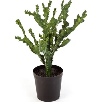 umělá květina Luxusní umělý kaktus HORSKÝ KAKTUS KVĚTINÁČEM, 76 cm