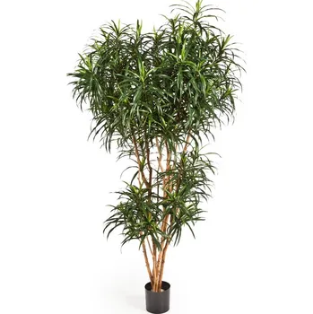 umělá květina Luxusní umělá palma DRACAENA REFLEXA ANITA STROM, 180 cm