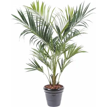 umělá květina Luxusní umělá palma KENTIA ROYAL, 190cm