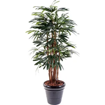 umělá květina Luxusní umělá palma RHAPIS LADY, 150cm