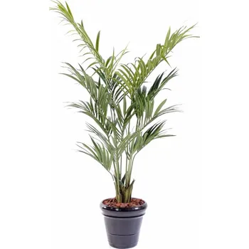 umělá květina Umělá palma Kentia 12 větví, 190cm