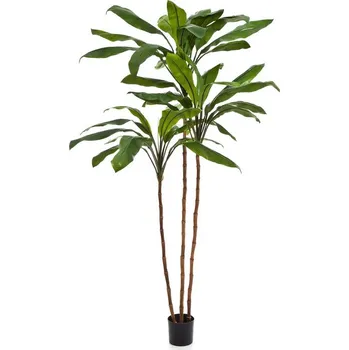 umělá květina Luxusní umělá palma CORDYLINE FRUTICOSA STROM, 210 cm