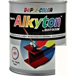 Alkyton RAL 9010 250 ml matná bílá