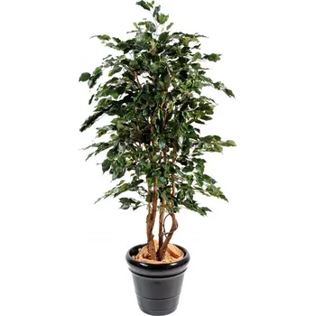 umělá květina Luxusní umělý strom Ficus Exotica Green, 210cm
