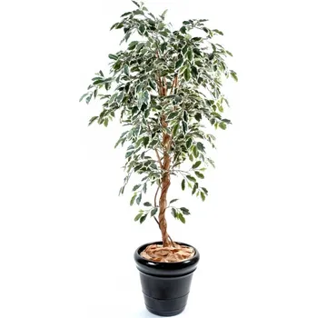 umělá květina Luxusní umělý strom Ficus Tronc Simple GF green/ cream, 150cm
