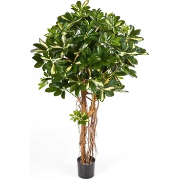 umělá květina Luxusní umělý strom PANAŠOVANÁ NAT.SCHEFFLERA UMBRELLA, 170 cm