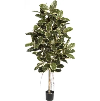 umělá květina Luxusní umělý strom PANAŠOVANÝ FICUS ELASTICA, 210 cm