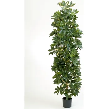 umělá květina Luxusní umělý strom PANAŠOVANÁ COLUMN SCHEFFLERA, 180 cm