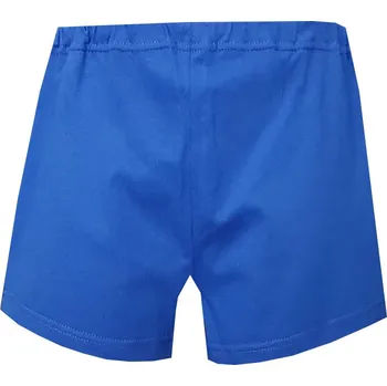 Chlapecké spodní prádlo Dětské Trenýrky FOLTÝN DT03 Velikost: 146