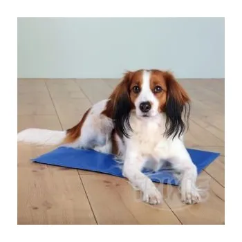 Pelíšek pro psa Chladící podložka pro zvířata 50 x 40 cm MODRÁ