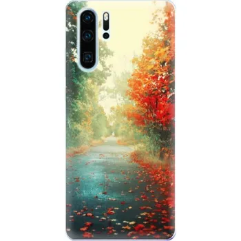 Pouzdro na mobilní telefon Odolné silikonové pouzdro iSaprio - Autumn 03 - Huawei P30 Pro