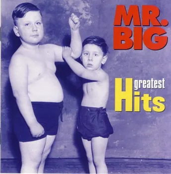 Zahraniční hudba Greatest Hit - Mr. Big [CD]