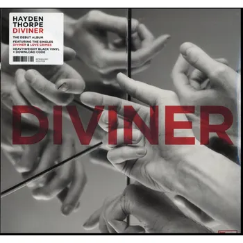 Zahraniční hudba Diviner - Hayden Thorpe [LP]