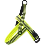 ACTIVE Dog Neoprene limetka