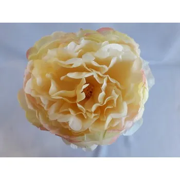 Sazenice Pivoňka vazb./LEMON-GREEN F103