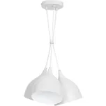 Luminex Noak Young LU9430