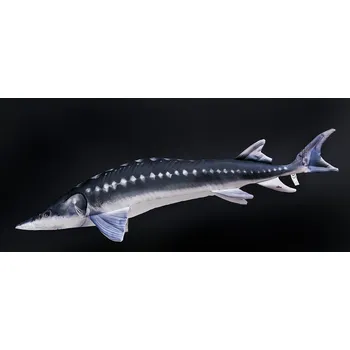 Dekorativní polštářek Gaby Polštář Jeseter - 115 cm