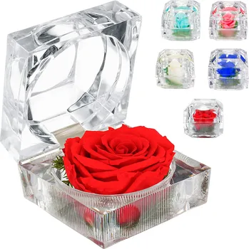 umělá květina Živá růže - Nesmrtelný květ růže v dárkové krabičce