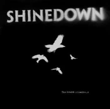 Zahraniční hudba Sound Of Madness - Shinedown [CD]