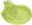 Tierra Verde Síťovka s krátkým uchem, limetka