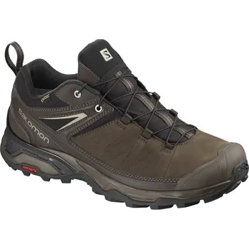 Pánská treková obuv Salomon X Ultra 3 LTR GTX L40478500