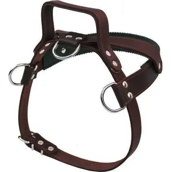 Postroj pro psa B&F Služební postroj s uchem JAGO kůže 1D černý