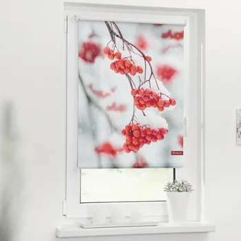 Roleta propouštějící denní světlo 60x150cm Jeřabiny