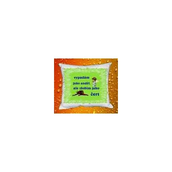 Dekorativní polštářek Foto Povlak na polštářek pro děti 02