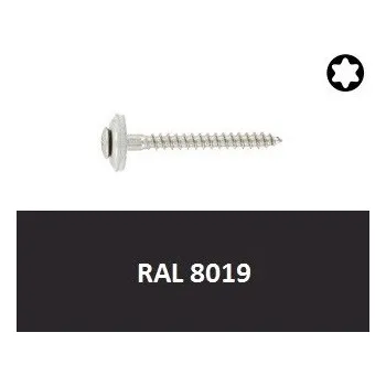 Vrut Vrut s podl. 15mm, nerez A2 4,5x45 Torx RAL8019 (Art.8790) 10ks