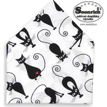 Šátek Pavel Brzobohatý - Soonrich bsp283 černá