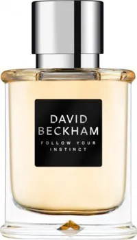 pánský parfém David Beckham Follow Your Instinct M EDT