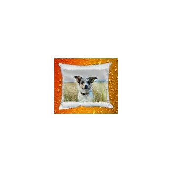 Povlak na dekorativní polštářek Foto Povlak na polštářek se psem č. 13