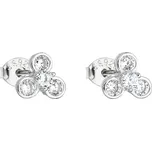 Evolution Group 11136.1