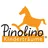 Pinolino Kinderträume