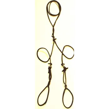 Vodítko pro psa Předváděcí vodítko pro dva psy, hnědé