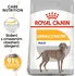 Krmivo pro psa Royal Canin Maxi Dermacomfort