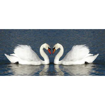 Fototapeta FTN H 2708 AG Design vliesová fototapeta na zeď panoramatická Swans, velikost 202 x 90 cm