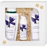 Atok Levandule sada pro suchou a…