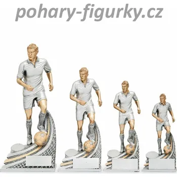 Sportovní fotbalová cena 22639