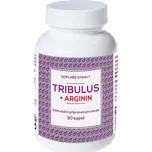 Naturvita Tribulus + Arginin 90 kapslí