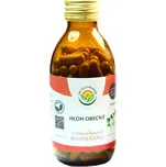 Salvia Paradise Hloh obecný kapsle