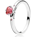 Pandora 196574CZRMX 54 mm