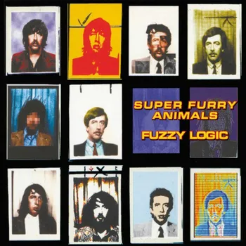 Zahraniční hudba Fuzzy Logic – Super Furry Animals [LP]