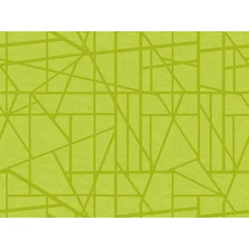 Jednorázový ubrus Prostírka Duni Maze Kiwi
