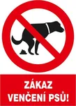 Magg Zákaz venčení psů 210 x 297 mm