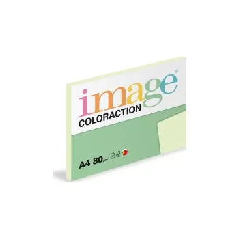 Kancelářský papír Xerografický papír BAREVNÝ - GN27 jungle / pastelově světle zelená / 100 listů