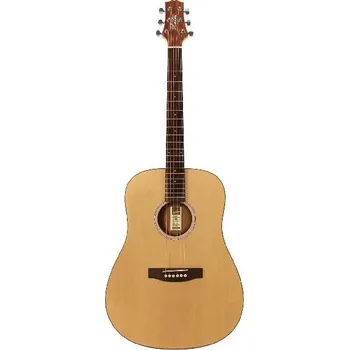 Akustická kytara Ashton D 20S NT