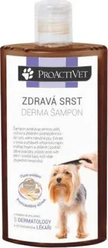Kosmetika pro psa Proactivet Zdravá srst Derma šampon 250 ml