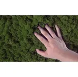 Mechdekor Norský Sobí Mech 5 kg středně…